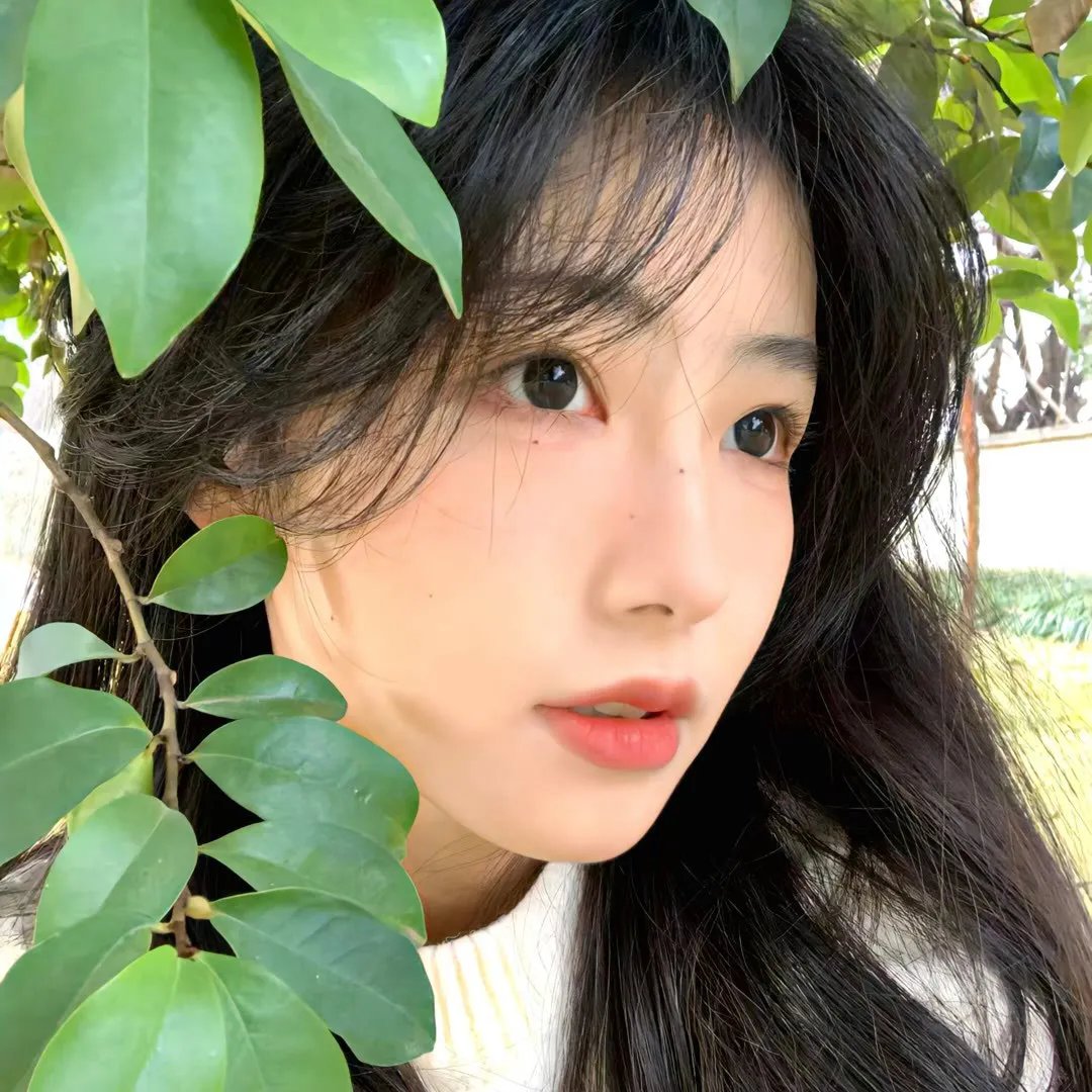 心动的颜执